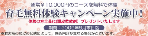 育毛キャンペーン実施中！体験の方全員に(頭皮柔軟剤）プレゼントいたします