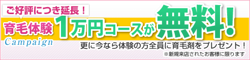 育毛体験1万円コースが無料